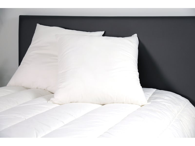 Oreiller Carr� 60x60 cm ALOE VERA - Conforama D