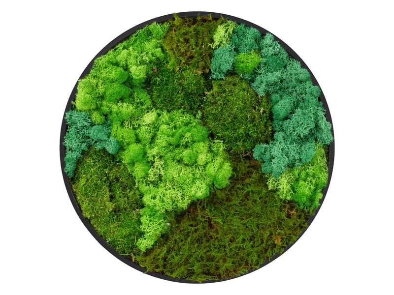 Ecd germany tableau végétal mural, mélange de mousses stabilisées, cadre en mdf rond ø 40 cm, vert, décoration d'intérieur véritable effet 3d, sans arrosage ni entretien, pièce unique ECD Germany GmbH - Conforama A