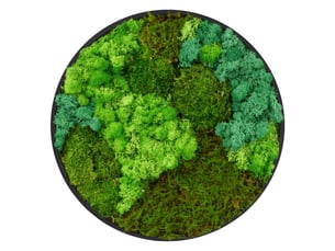 Ecd germany tableau végétal mural, mélange de mousses stabilisées, cadre en mdf rond ø 40 cm, vert, décoration d'intérieur véritable effet 3d, sans arrosage ni entretien, pièce unique