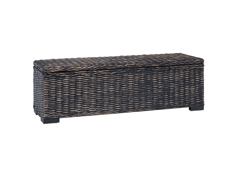Boîte de rangement, coffre de rangement noir 110x35x45 cm - Conforama B