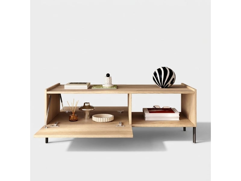 Table basse de salon avec espace de rangement badia - Conforama C