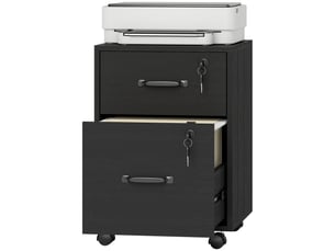 Caisson de bureau mobile à 2 tiroirs sur roulettes noir 40 x 40 x 54,1 cm