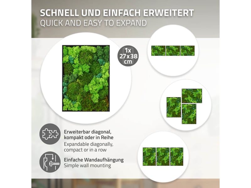 Ecd germany tableau végétal mural, mélange de mousses stabilisées, rectangulaire, 38 x 27 cm, vert, décoration d'intérieur véritable effet 3d, sans arrosage ni entretien, cadre en bois, pièce unique ECD Germany GmbH - Conforama D