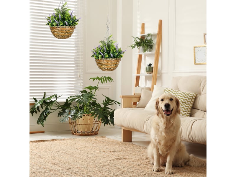  Ensemble de deux pots de fleurs artificiels suspendus en lisianthus - violet  - Conforama D