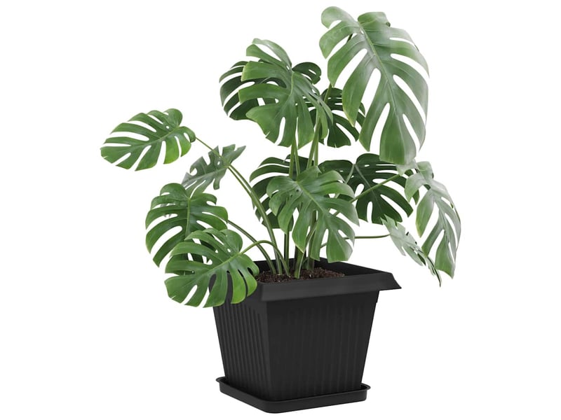 Jardinière - pots de plantes 6 pcs noir plastique - Conforama C