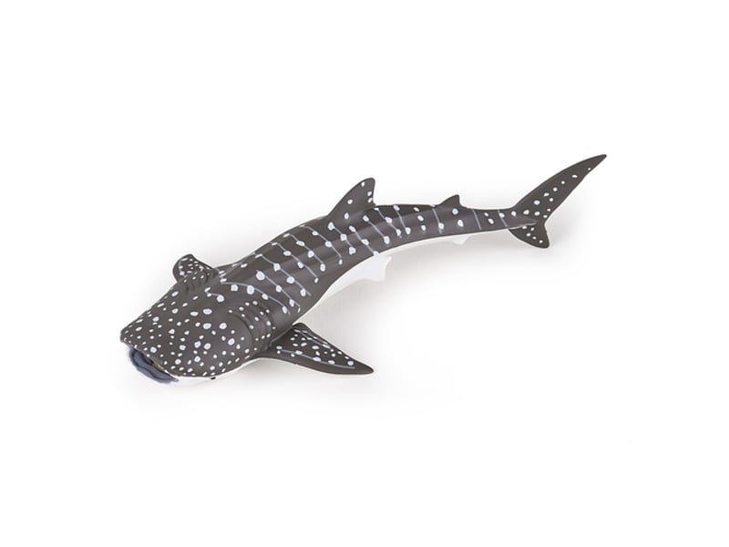  56046 jeune requin baleine 56046 - Conforama A