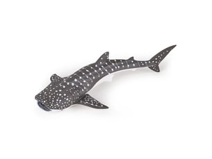 56046 jeune requin baleine
