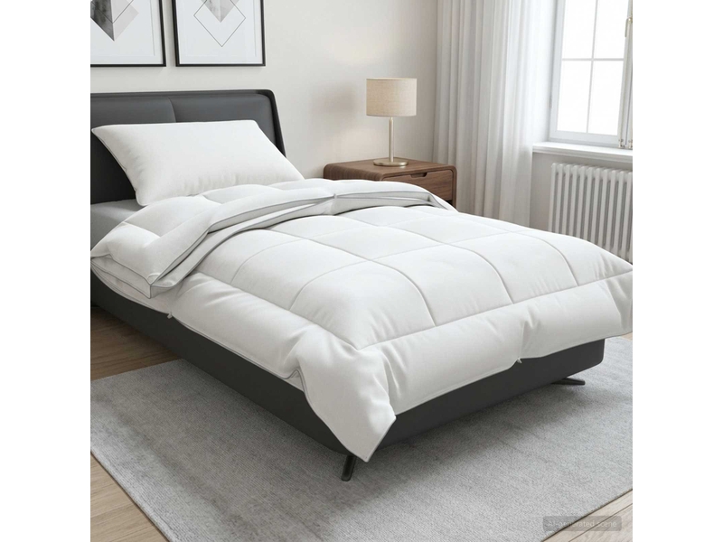 Ensemble de couette et d'oreiller 2 pcs - duvet 152x203 cm 4 saisons - Conforama B