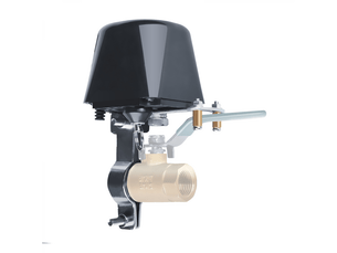 Vanne d'eau intelligente wifi, compatible avec et google assistant, application iosandroid eu 110v-220v