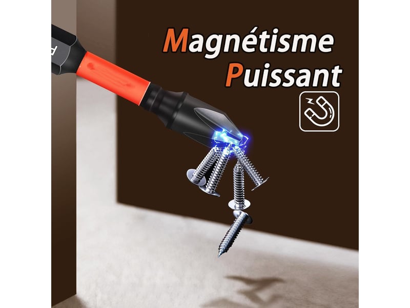 Jeu de 46 embouts de vissage torx, phillips (ph), pozidriv (pz), hex, fente - Conforama C