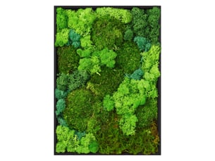 Ecd germany tableau végétal mural, mélange de mousses stabilisées, rectangulaire, 38 x 27 cm, vert, décoration d'intérieur véritable effet 3d, sans arrosage ni entretien, cadre en bois, pièce unique