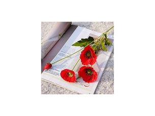 Lot de 10 coquelicots artificiels rouges en soie avec grande fleur réaliste pour décoration de jardin et de mariage - rouge h317