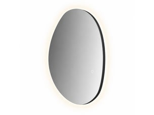 Miroir forme atypique de salle de bain coloris argenté EVRYAE - 70 cm x 50 cm