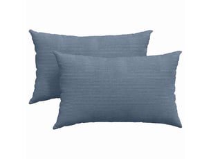 Lot de 2 coussins de canapé, coussins décoratifs bleu 50 x 30 cm cf59001