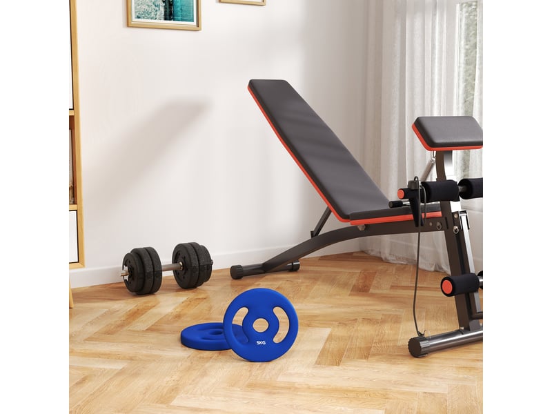  Lot de 2 disques de musculation 5kg, alésage 30 mm, poids bleus avec poignées pour fitness  - Conforama W