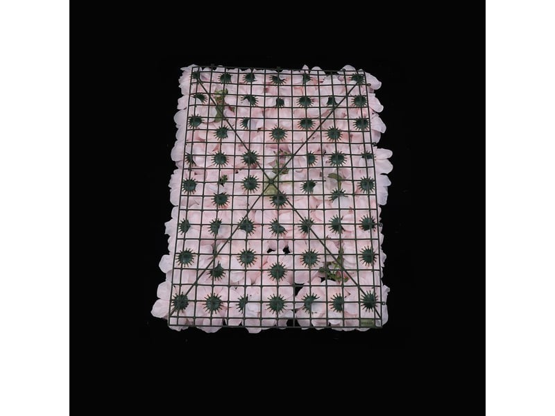 Lot de 6 panneaux muraux de fleurs artificielles rose pâle, mur de fleurs en soie, fond décoratif pour mariage, baptême, fête et événement - 40x60 cm - Conforama C