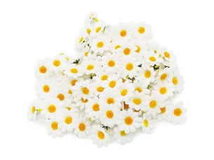 Gerbera marguerite artificielle, 100 fleurs en tissu, zqkla-aquaforge