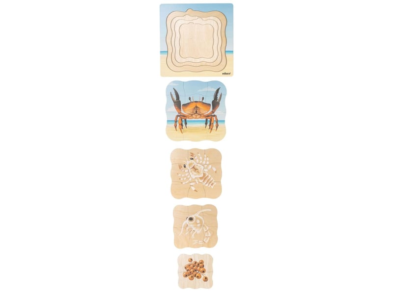  Educo sur la plage - le crabe pousse  31 pièces de puzzle 8719924064754 - Conforama B