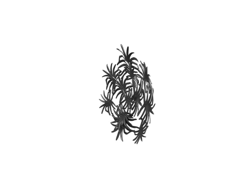  Déco murale feuillage en métal domizil 70cm noir  - Conforama B