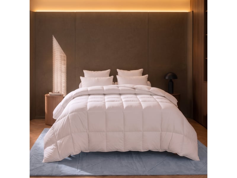  Dodo - couette 240x260 thermoduv canard - 90% duvet - chaude  - Conforama C