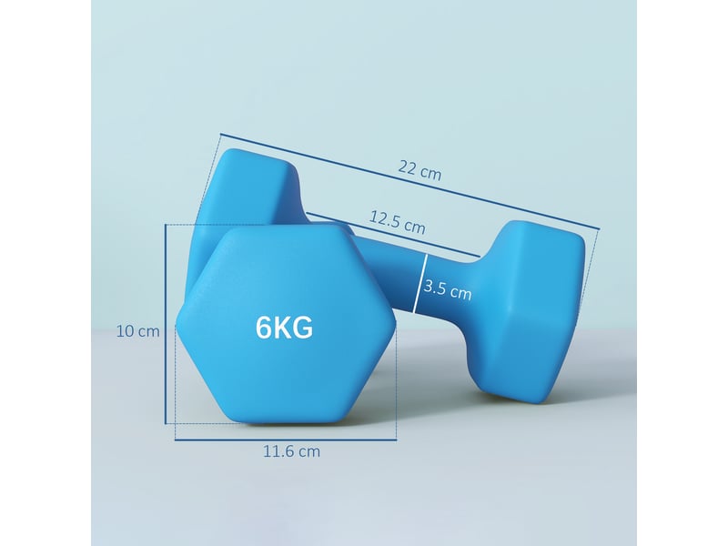  Lot de 2 haltères hexagonales 2 x 6 kg en métal et plastique avec poignée antidérapante, 22 x 10 x 10 cm, bleues  - Conforama E