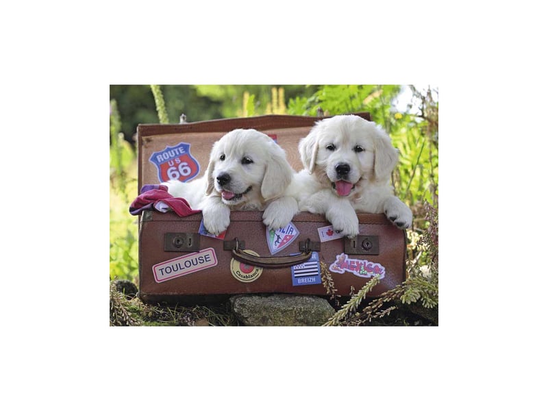  Puzzle enfants 100 xxl petite pause format paysage RAR10538 - Conforama B