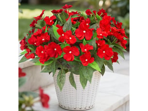 Impatiens artificielles extérieures – rouge, plantes en soie résistantes aux uv, idéal jardin, balcon et terrasse