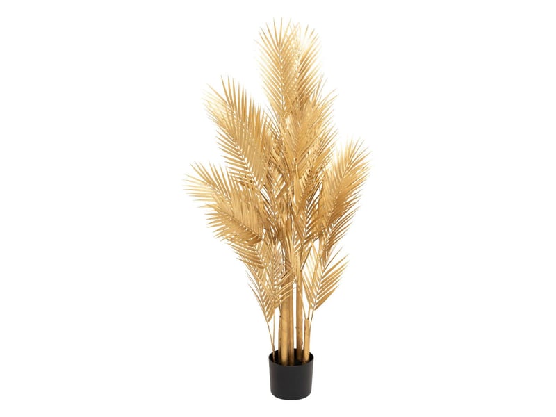  Palmier or pot h120  - Conforama A