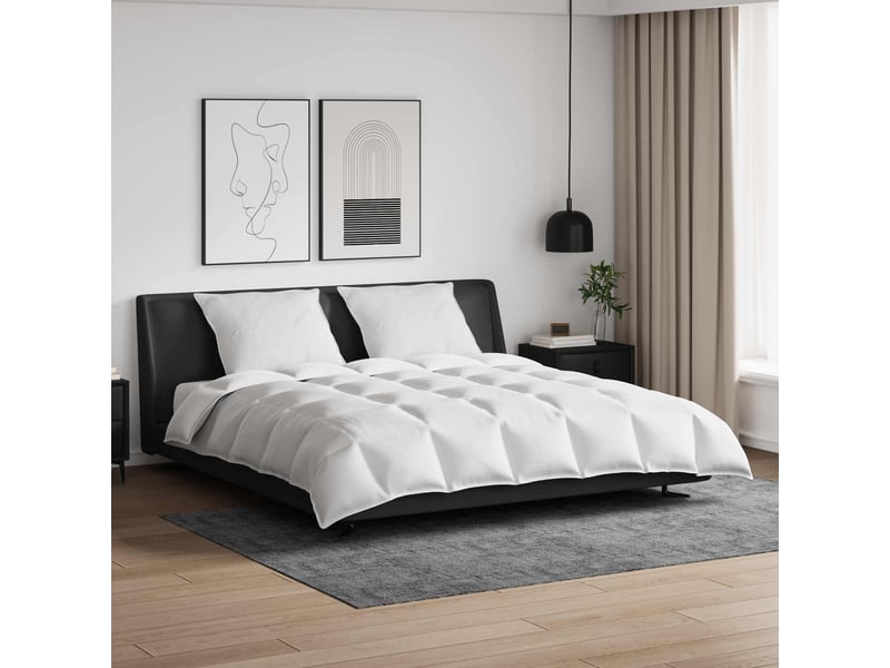  Ensemble de duvet avec oreiller 3 pièces - couette blanc plume de canard  - Conforama B