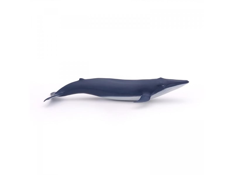  56041 figurine bebe baleine bleue 56041 - Conforama C