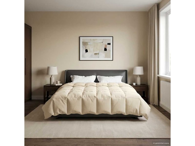  Duvet d'hiver - couette 200 x 200 cm hiver - couette microfibre (100% polyester)  - Conforama B