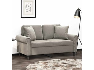 Lot de 2 coussins décoratifs gris clair 40x40 cm velours cf60865