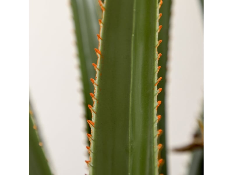  Plante artificielle yucca 190 cm verte en plastique avec pot en ciment, pour intérieur et extérieur sans entretien  - Conforama D