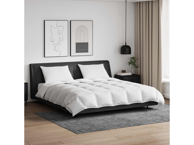  Ensemble de duvet avec oreiller 3 pcs - couette blanc plume de canard  - Conforama B