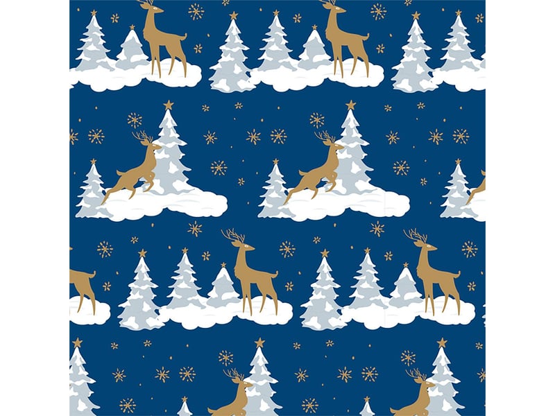  Papier cadeau traditionnel 200x70cm assorti  - Conforama D