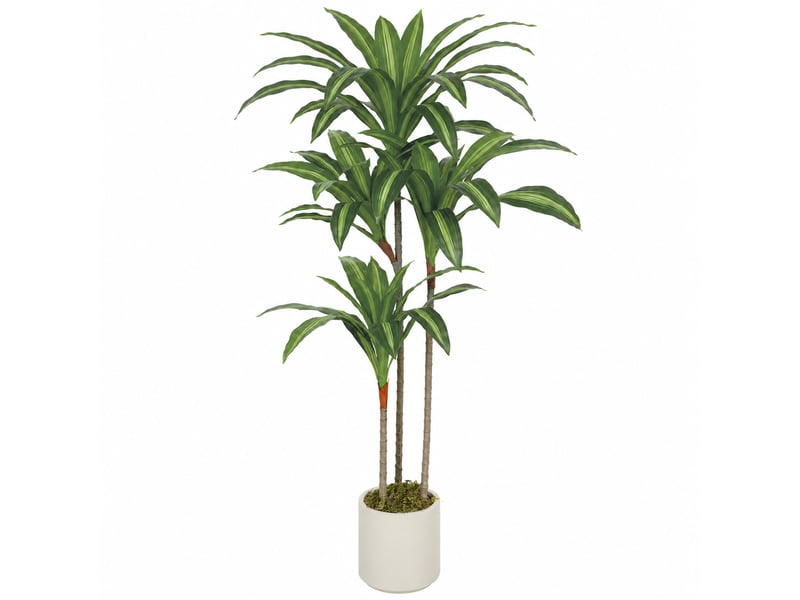  Dracaena artificielle verte en peva et bois avec pot en pp et ciment, 60 x 40 x 120 cm  - Conforama A