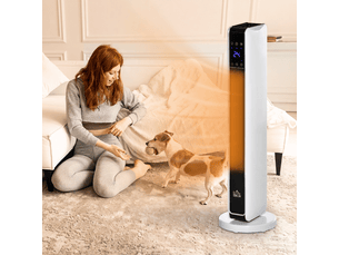 soufflant <strong></strong> - 3 niveau(x) de puissance(s) 2200 watts