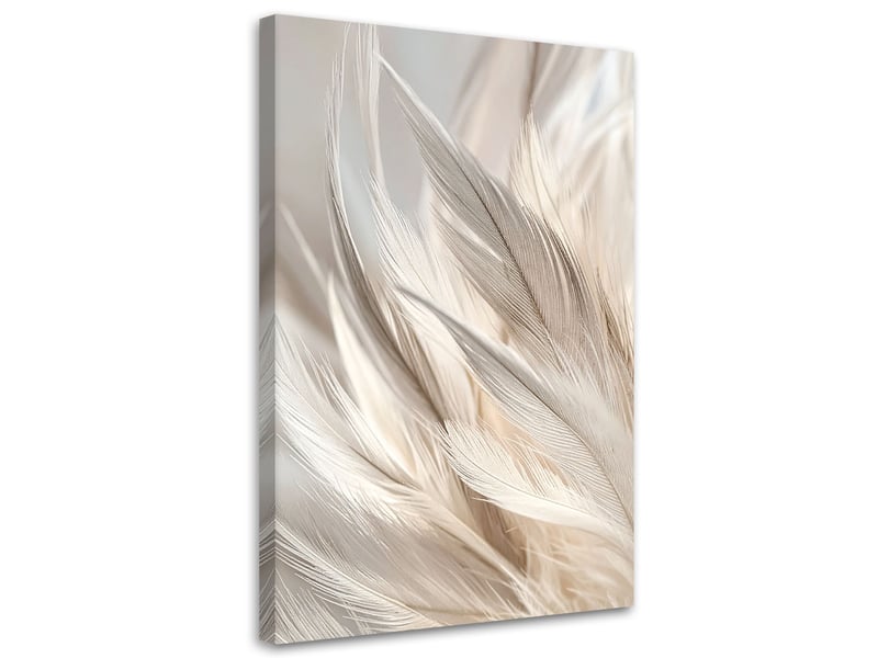 Tableau moderne, plumes blanches délicates dans un style bohème 20x30 1334478435 - Conforama A