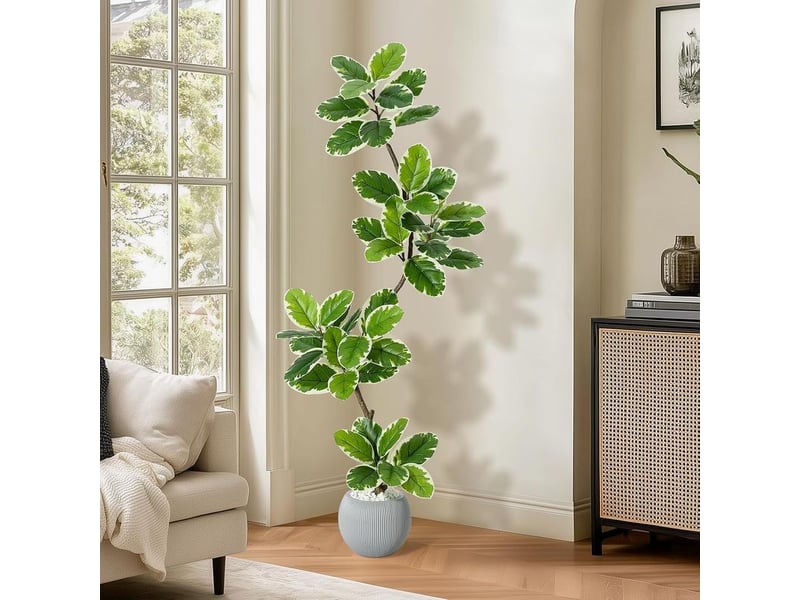  Plante artificielle moderne pour l'intérieur, 150 cm, ficus artificiel avec feuilles blanches et tronc élégant, facile d'entretien et sans eau, idéale pour la maison, le bureau et comme cadeau, pot  - Conforama D