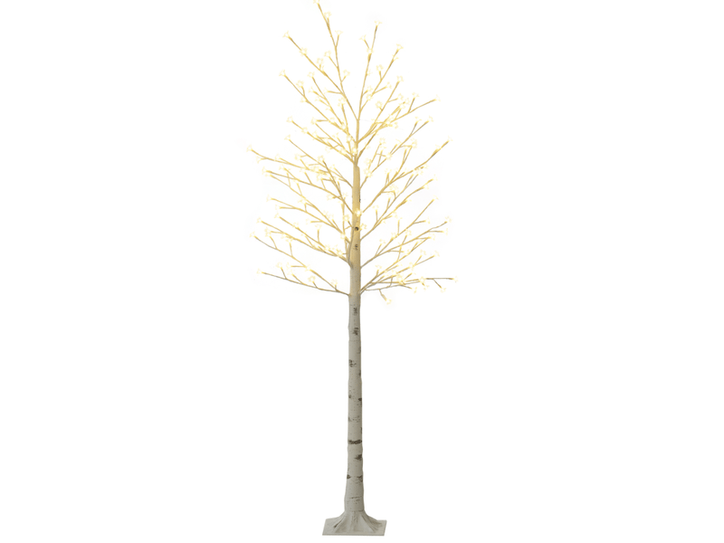  Bouleau artificiel lumineux 21,5x21,5x180 cm 180 led blanc  - Conforama A