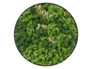 Ecd germany tableau en mousse de renne stabilisée véritable, forme ronde ø 40 cm, vert, décoration murale végétale d'intérieur, cadre en mdf, sans arrosage ni entretien, effet 3d, pièce unique