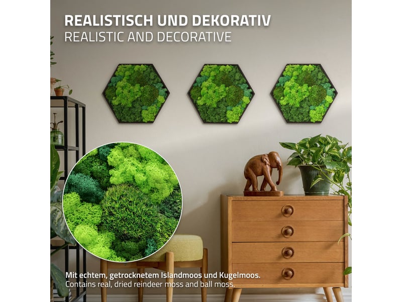 Ecd germany tableau végétal mural, mélange de mousses stabilisées, hexagonal, 38 x 34 cm, vert, décoration d'intérieur véritable effet 3d, sans arrosage ni entretien, cadre en bois, pièce unique ECD Germany GmbH - Conforama C