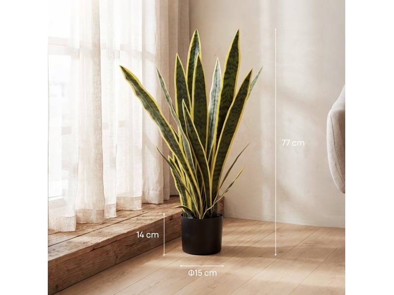  Plante artificielle sansevieria 77 cm – verte – pot inclus, feuillage flexible et aspect naturel  - Conforama C