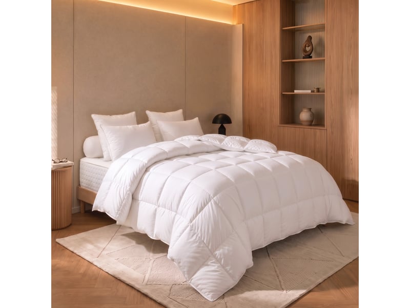  Dodo - couette 140x200 tradition canard - 90% duvet - chaude  - Conforama B