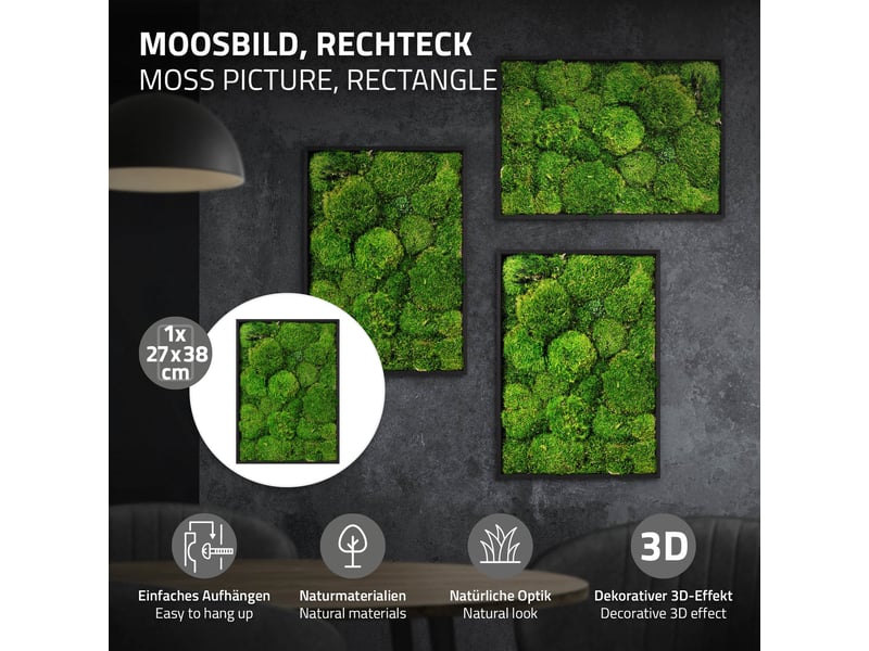  Ecd germany tableau en mousse boule stabilisée véritable, forme rectangulaire 38x27 cm, vert, décoration murale végétale d'intérieur, cadre en bois, sans arrosage ni entretien, effet 3d, pièce unique ECD Germany GmbH - Conforama B