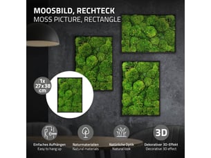 Ecd germany tableau en mousse boule stabilisée véritable, forme rectangulaire 38x27 cm, vert, décoration murale végétale d'intérieur, cadre en bois, sans arrosage ni entretien, effet 3d, pièce unique