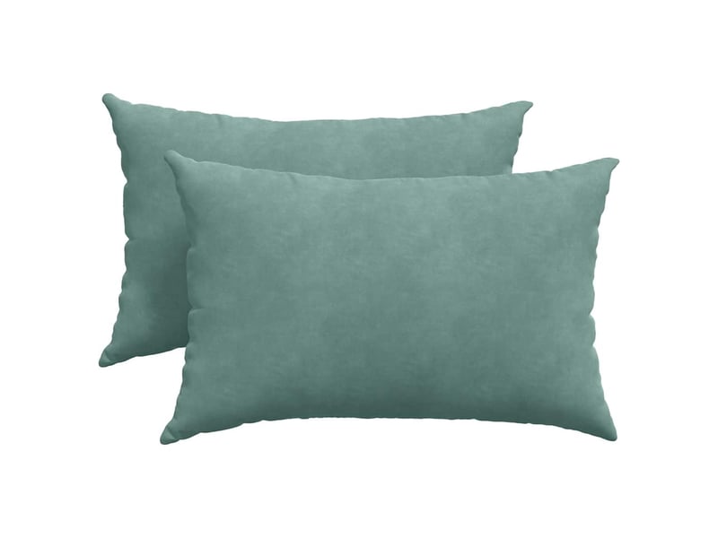  Lot de 2 coussins de canapé, coussins décoratifs vert mer 60 x 40 cm cf59215  - Conforama A