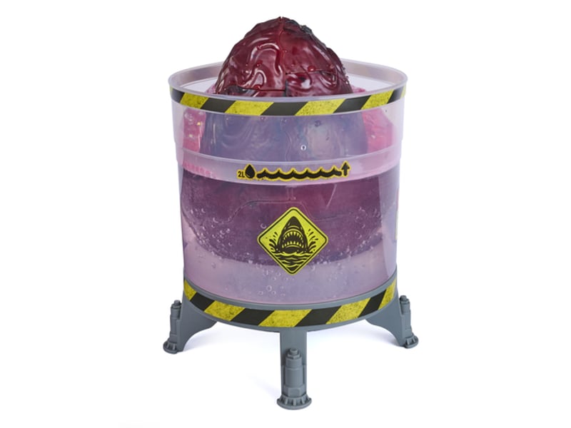  Mégalodon interactif 40 cm à faire éclore-primal hatch-spin master 6076677 - Conforama B