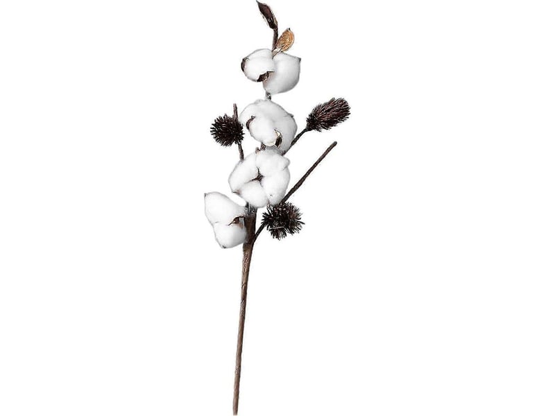  Fleurs artificielles en tiges de coton séché naturel loviver pour bricolage et jardinage-4 head  - Conforama C