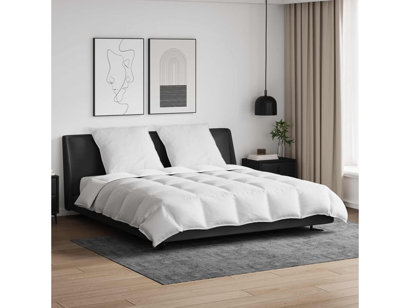 Ensemble de duvet avec oreiller 3 pcs - couette blanc plume de canard - Conforama B
